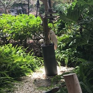 Meet your Posher, Jada